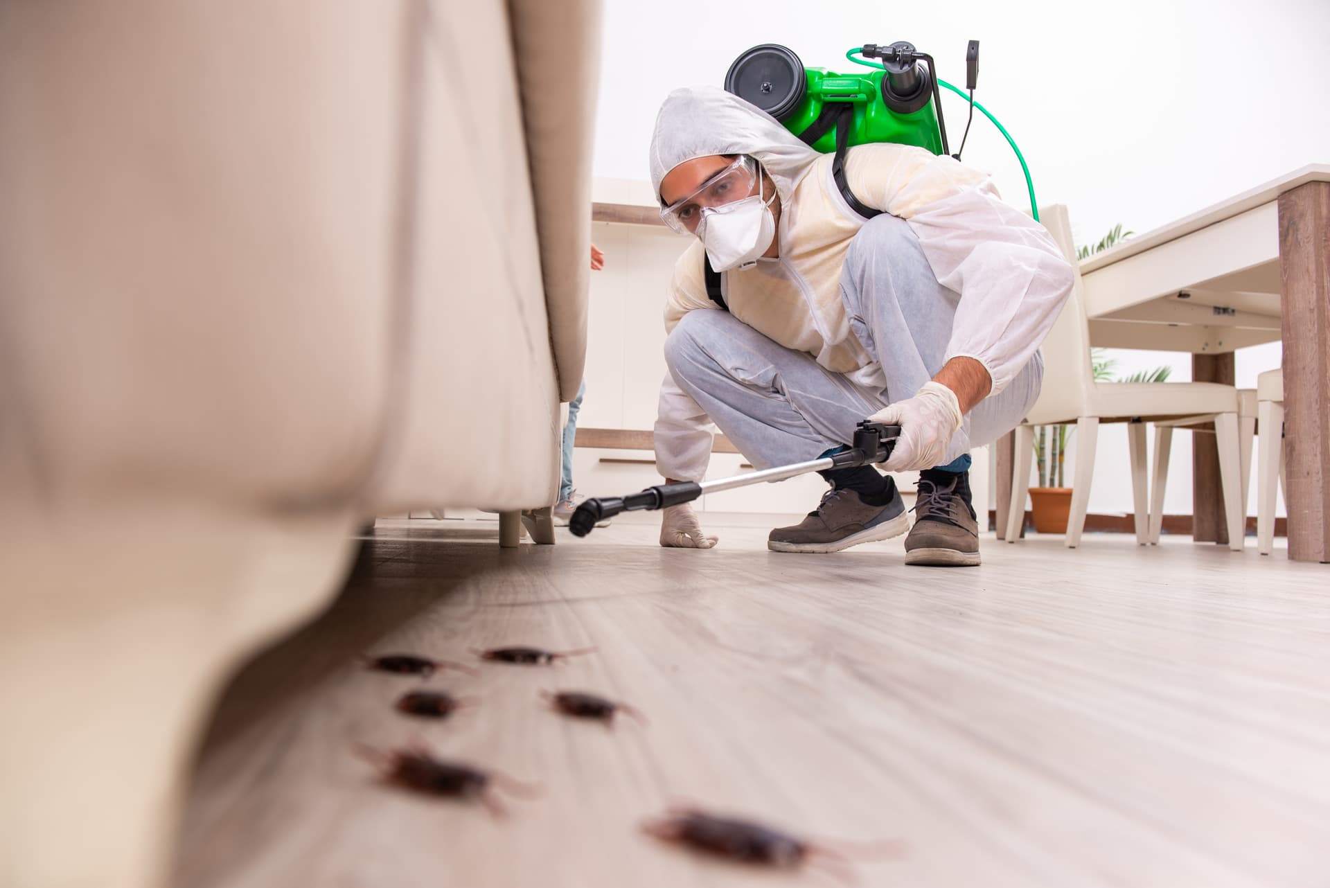 Is an Aftercare and Protection Plan Always Necessary After Mould Remediation?