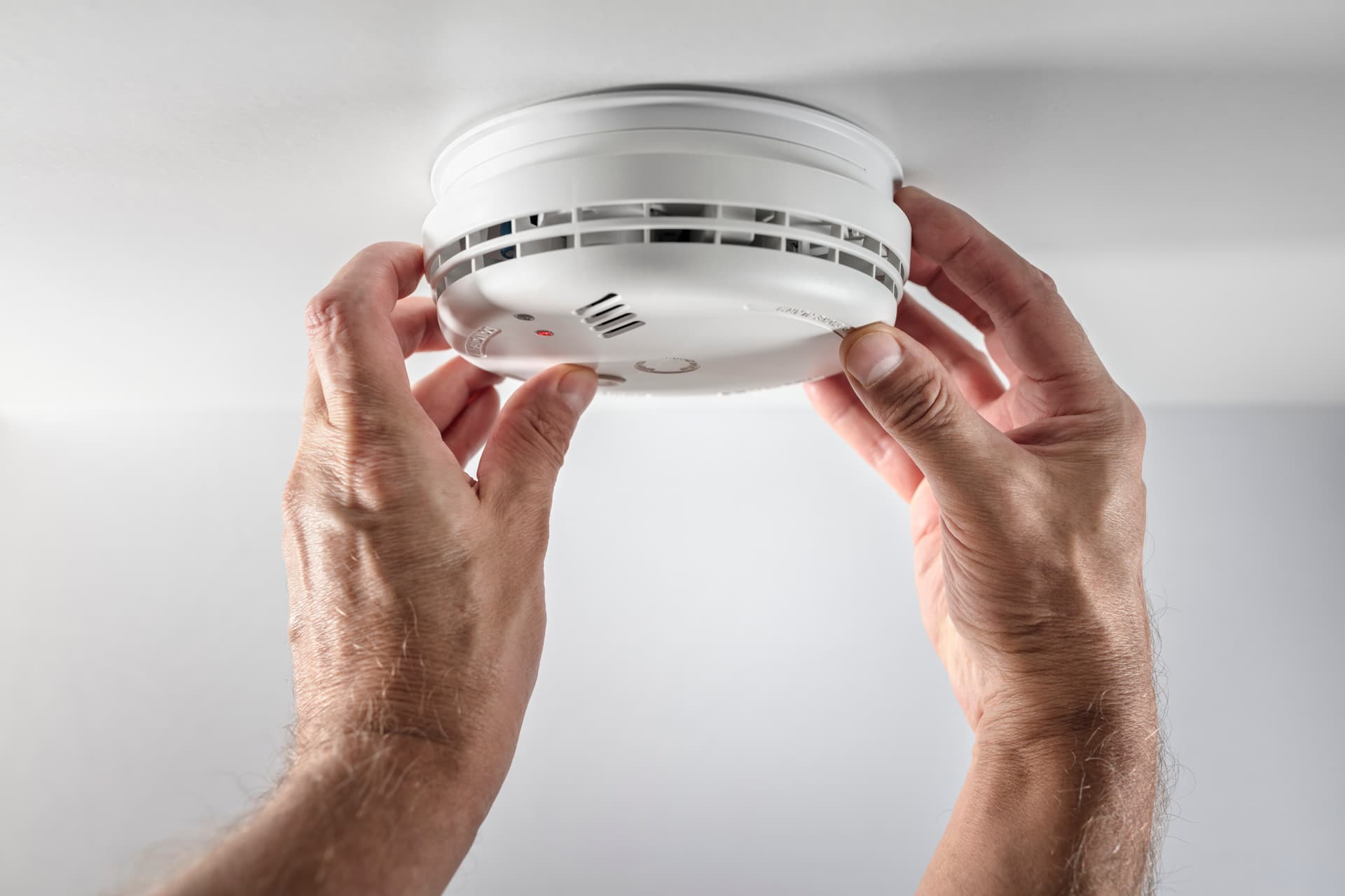 Mould Surveys for Landlords With Multiple Properties: How to Choose the Right Approach